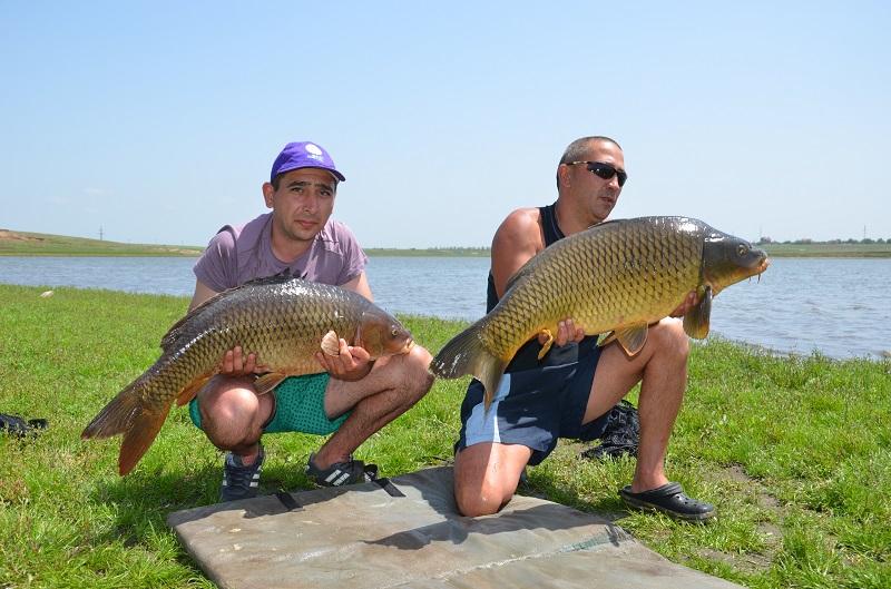 CUPA BECKER SARULESTI - pescuit-crap-sarulesti-5.JPG